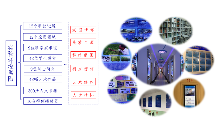 楼道文化及展板主题