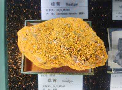 博物馆