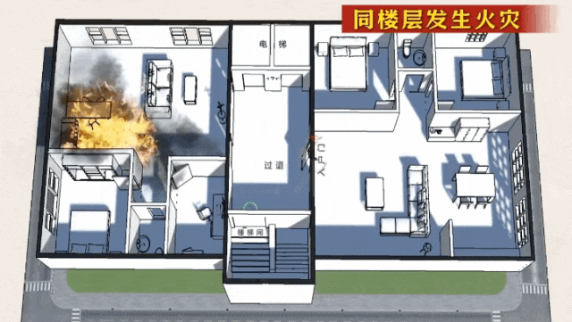 gif-2025-03-06 at 14.56.06.gif