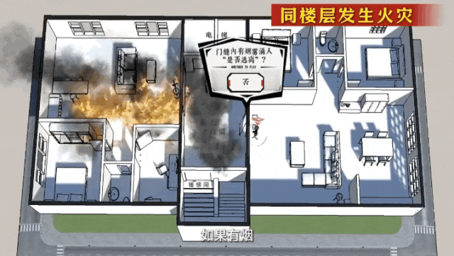 gif-2025-03-06 at 14.57.51.gif