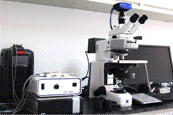 图片包含 室内, 物体, 桌子, 电脑 描述已自动生成