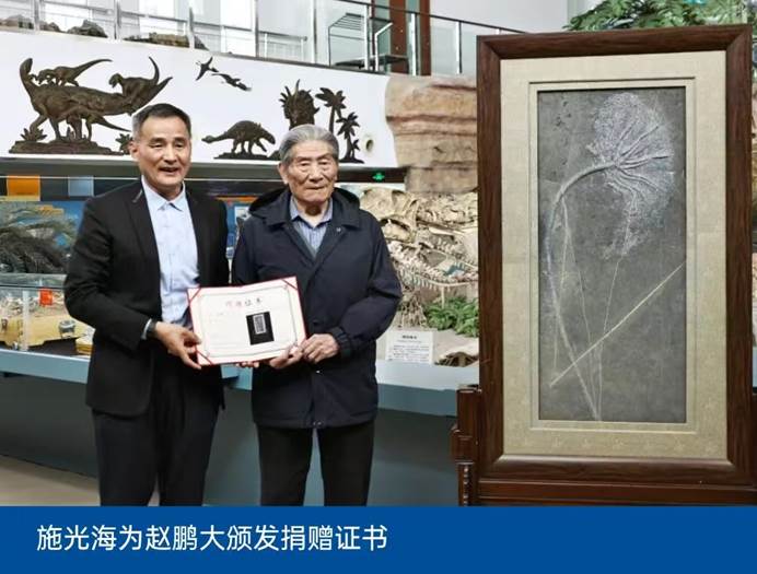 图片包含 图形用户界面 AI 生成的内容可能不正确。