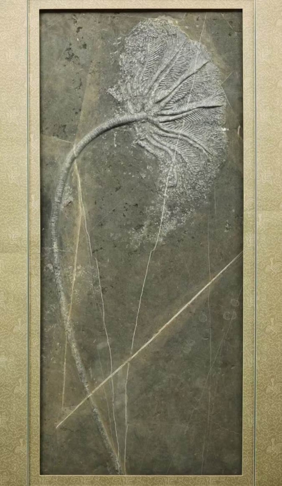 石头墙上 AI 生成的内容可能不正确。