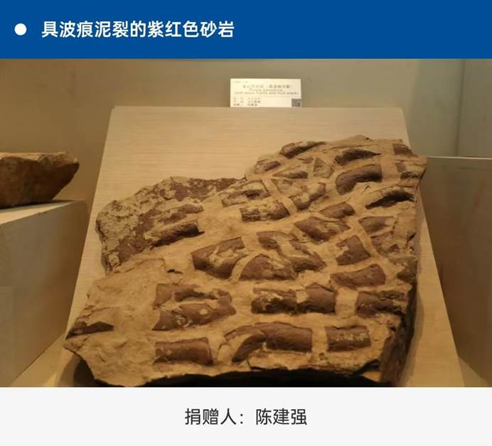 盒子里有食物 AI 生成的内容可能不正确。