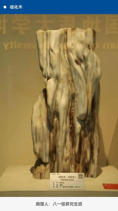 图片包含 游戏机 AI 生成的内容可能不正确。