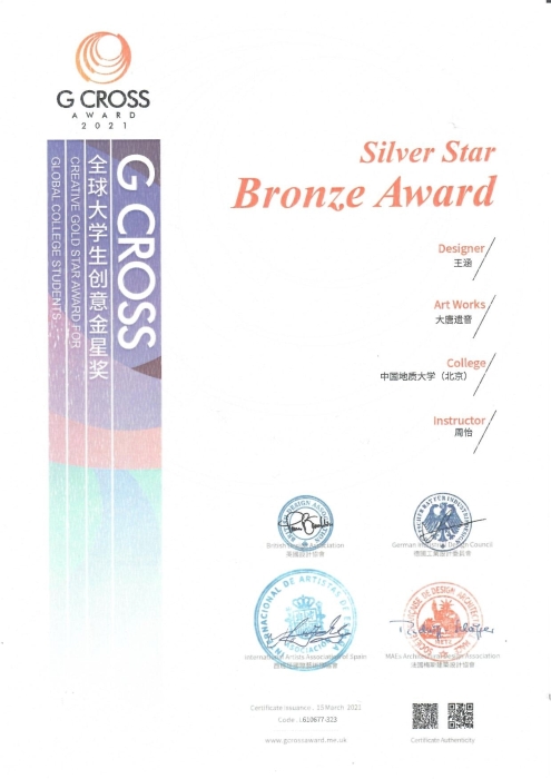 王涵-全球大学生倡创意金星奖1