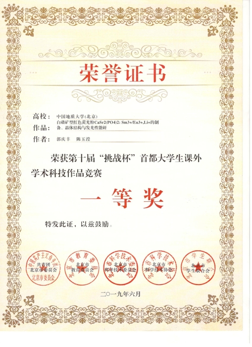 挑战杯首都大学生课外学术科技作品一等奖