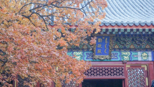 001FF86B43EC702D2A79A58693D6C452