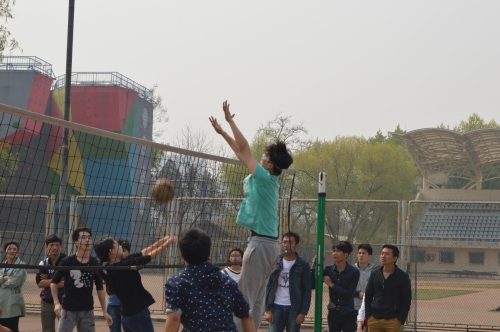 上网救球