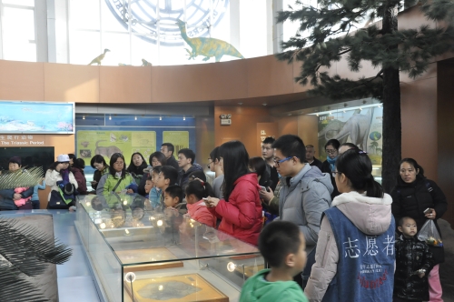 志愿者陪同营员参观博物馆（2）