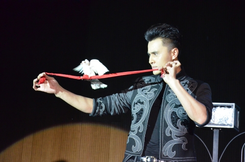 图为刘世杰《鸽剧魅影》