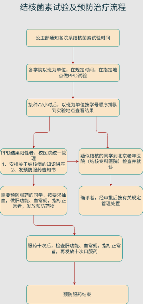 结核菌素试验及预防治疗流程图.drawio